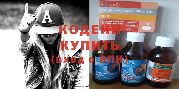 прущие крисы Няндома